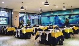 餐厅爆料师姐视频播放